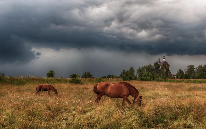 В центральную часть Камчатки (промо)