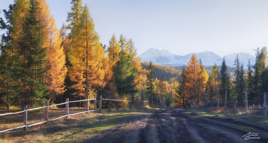 Сафари в верховьях Амура: от Даурии до Маньчжурии (промо)