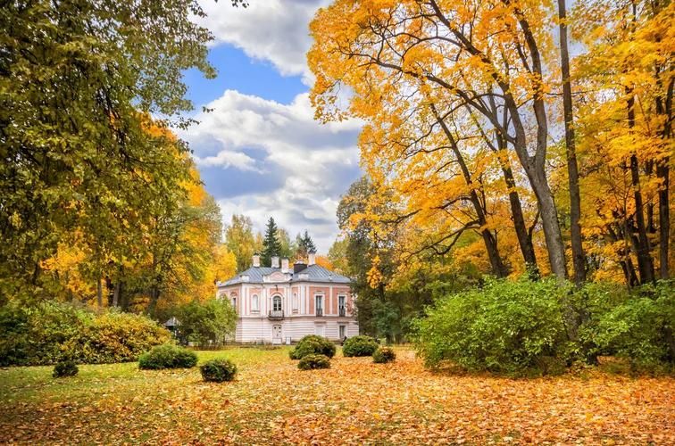 Дворцовое трио: Петербург, Петергоф, Царское Село