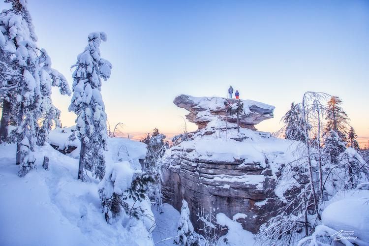 Автобус | Селигер встречает Новый Год: в гостях у озёр, лесов и зимнего очарования