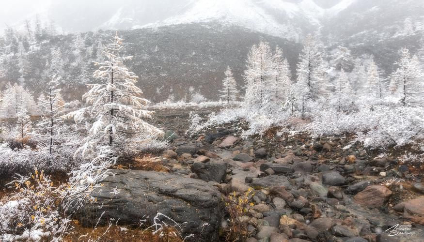 Алтай, где пейзаж — не фон, а главный герой