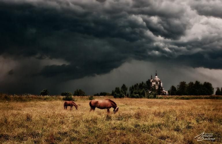 Автобус| Заполярье из Челябинска