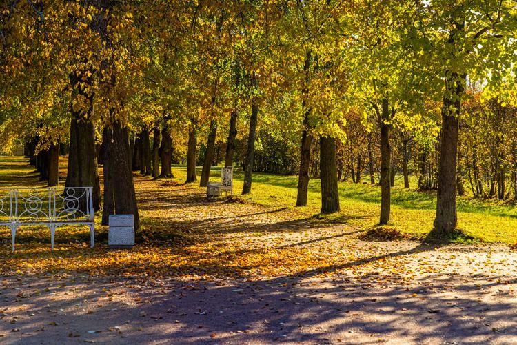 Белые ночи в Санкт-Петербурге 4 дня