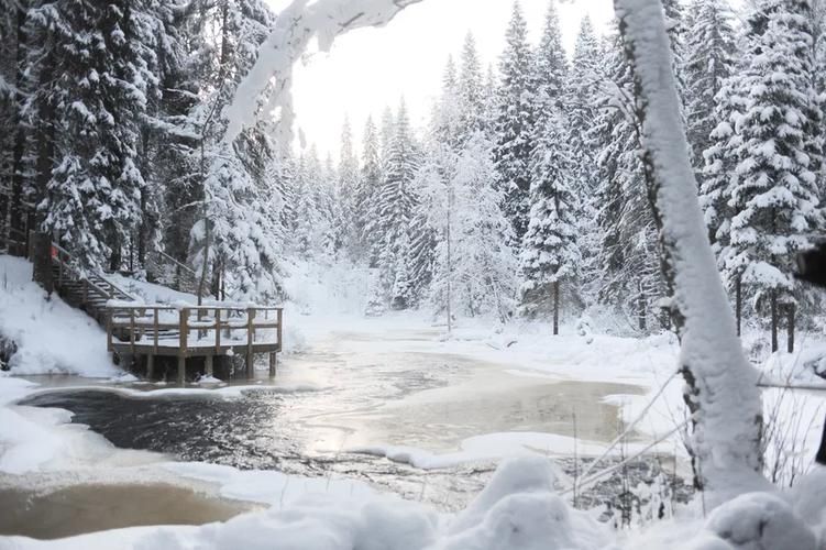 Забудь про город — в Кирове Рождество живёт. Приезжай, пока снег не растаял