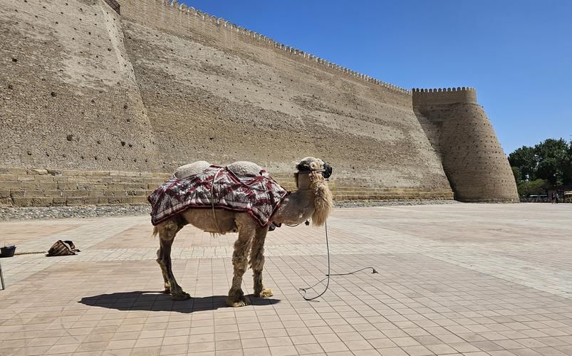 Рождество в Баку: огни, традиции и азербайджанское гостеприимство