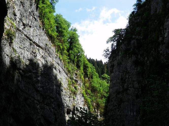 Автобус| Новогодняя Ривьера: Сочи встречает праздник из Ульяновска