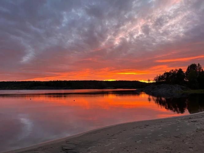 Автобус| Лето на Селигере: 7 дней в зоне комфорта
