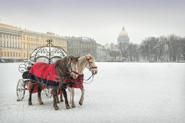 Автобус| Сказка на Неве: Новогоднее путешествие из Казани