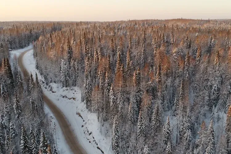 НА СОЛОВЕЦКИЕ ОСТРОВА ИЗ КАРГОПОЛЯ (промо)