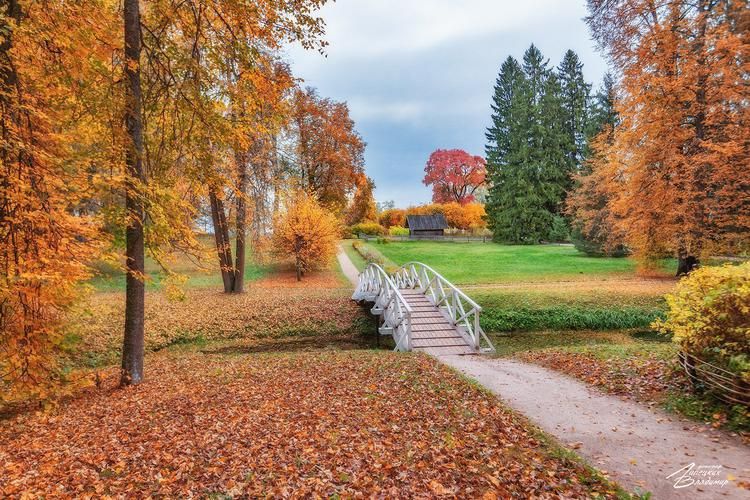 Псков за два дня. Без спешки, с душой.