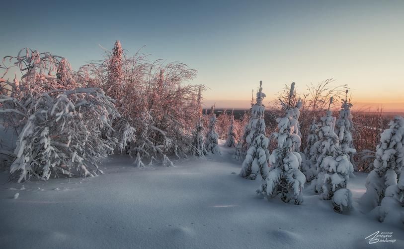 Автобус | Новогоднее путешествие по белорусским замкам и усадьбам из Нижнего Новгорода