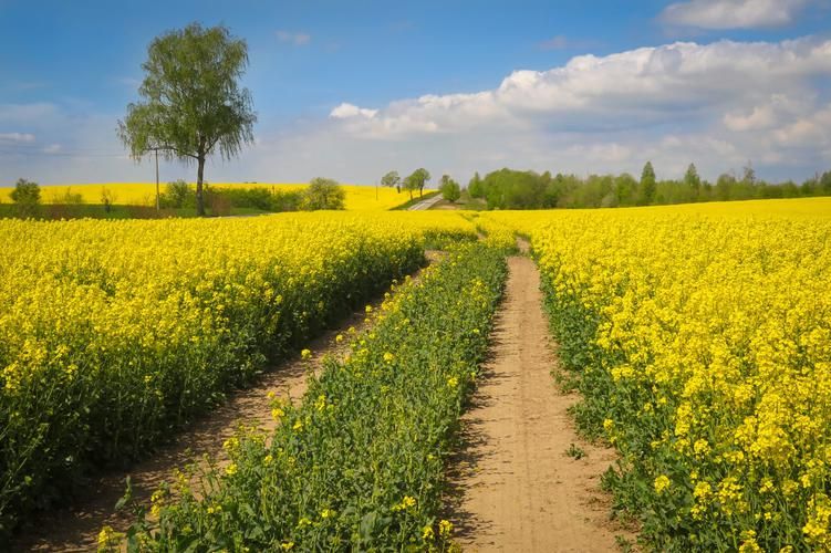 Велотур по Калининграду 6 дней