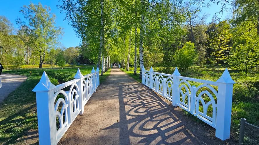 Выборг за кадром: неизвестные страницы истории