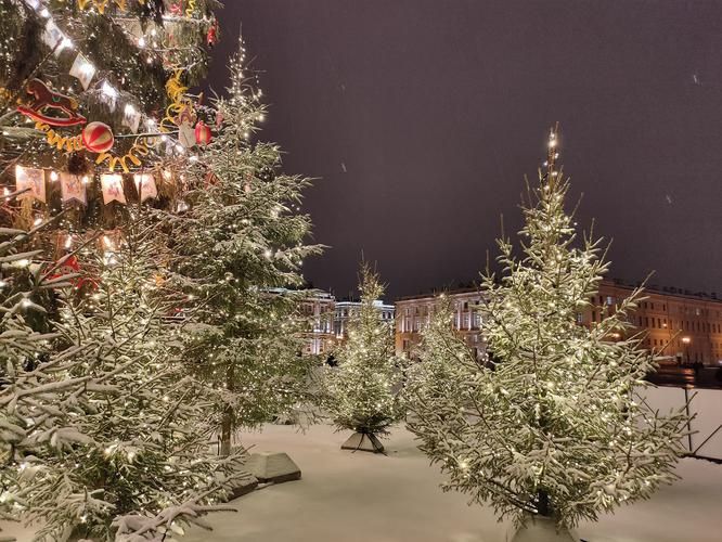 Новогоднее путешествие по следам Романовых: дворцы, сады и тайны 5 дней