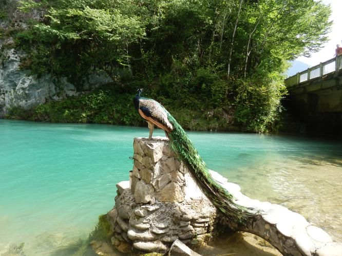 Абхазская симфония 4 дня