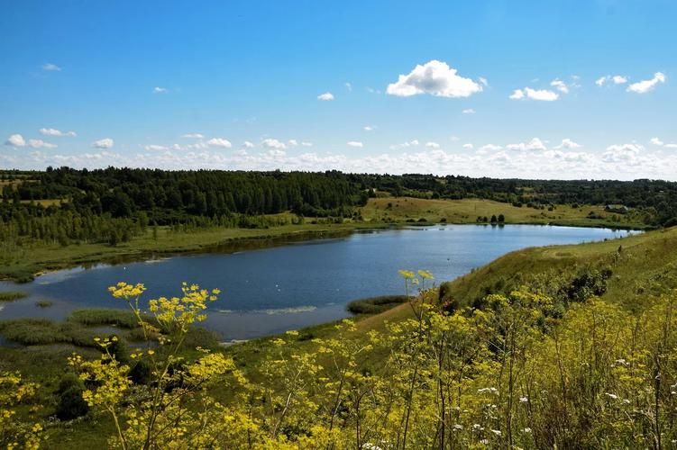 Дело рук твоих: фермерский формат