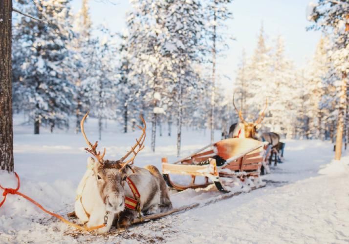Автобус| Снежная Карелия: Рождество в атмосфере уюта и традиций из Нижнего Новгорода