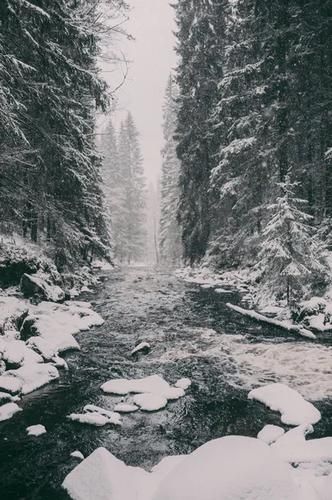 Новогоднее путешествие в Карелию: от Ладоги до викингов