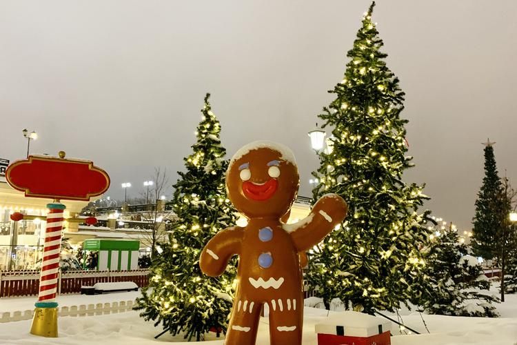 Новый 2026 год с КЫШ БАБАЕМ 3д/2н заезд 31.12.2026