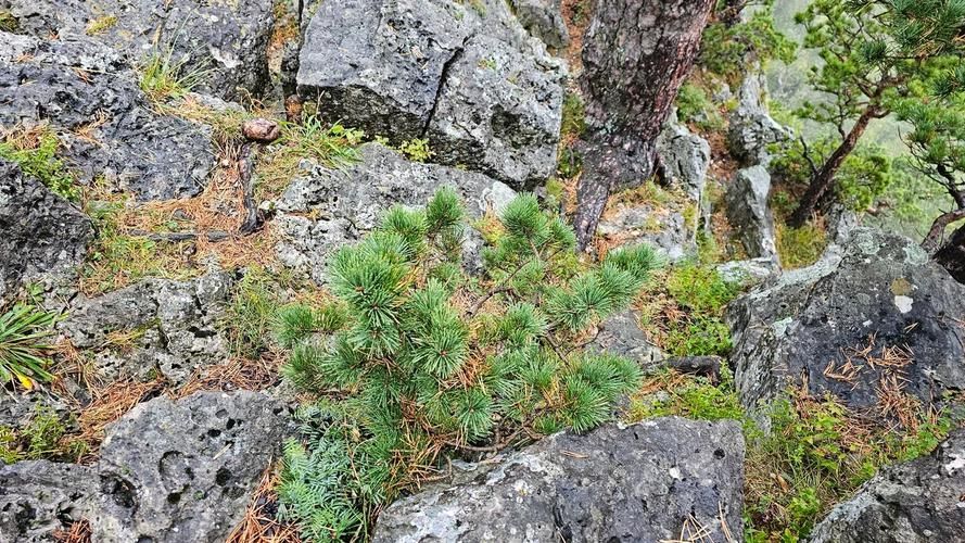 Адыгейская палитра: от лазурных водопадов до альпийских лугов