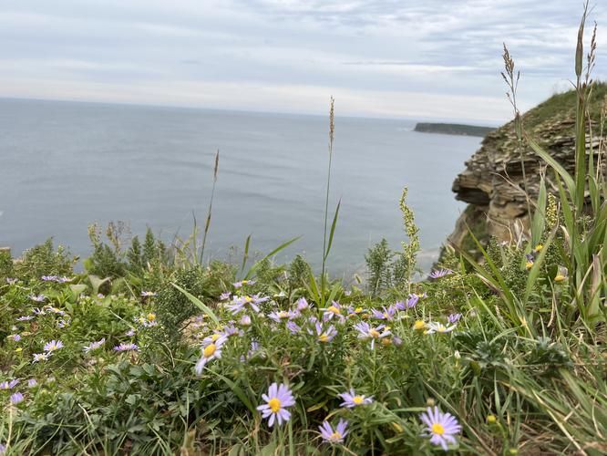 От тихоокеанских волн до широких берегов Амура