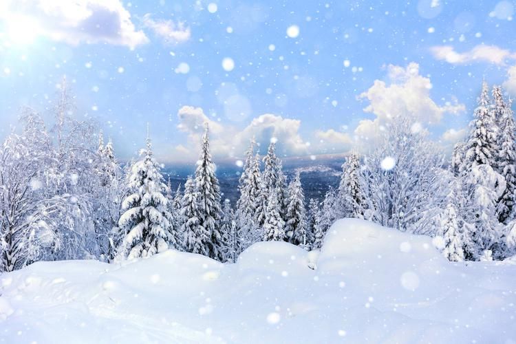 Встреча Нового года в мире великих писателей